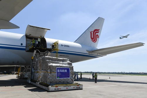 速看！2020年国家物流枢纽建设名单出炉，助力国际货物运输代理发展