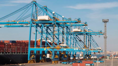 沿黄及新疆十省区共绘蓝图 协力共建国际物流大通道，赋能货物运输代理新格局