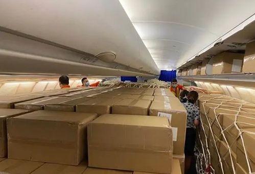 东航“客改货”包机首航武汉-洛杉矶，国际包机服务迈入全链条整合新阶段