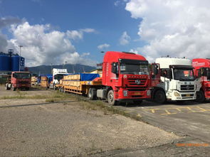 框架柜运输与国际货物运输代理全解析